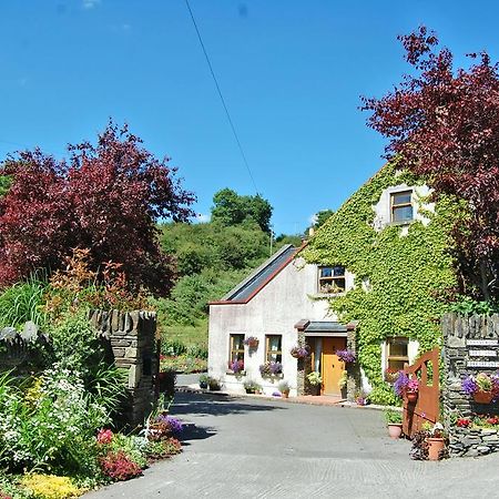 Tinnycross House B&B Ballymore Eustace Exteriör bild