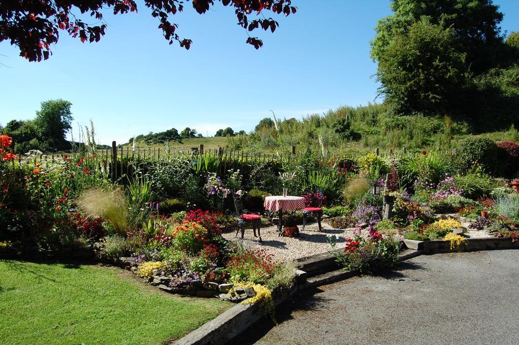 Tinnycross House B&B Ballymore Eustace Exteriör bild