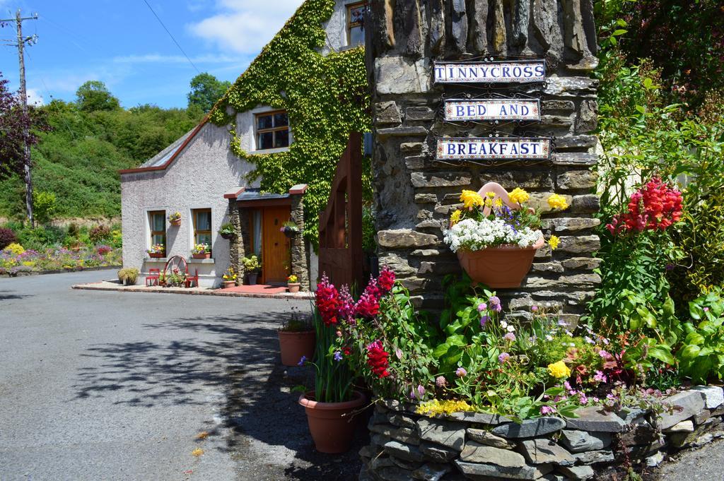 Tinnycross House B&B Ballymore Eustace Exteriör bild