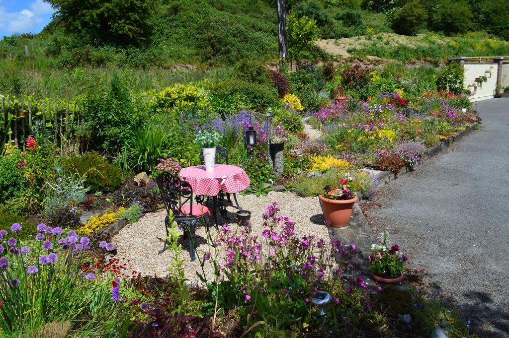 Tinnycross House B&B Ballymore Eustace Exteriör bild