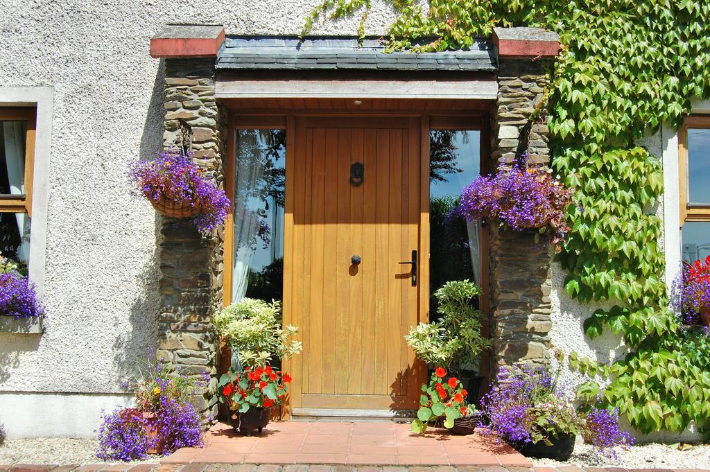 Tinnycross House B&B Ballymore Eustace Exteriör bild