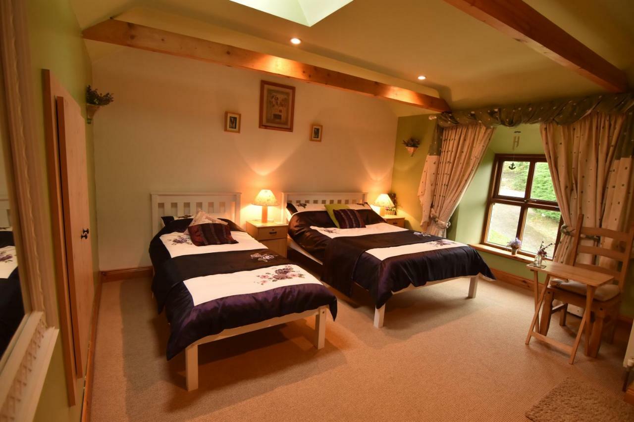 Tinnycross House B&B Ballymore Eustace Exteriör bild