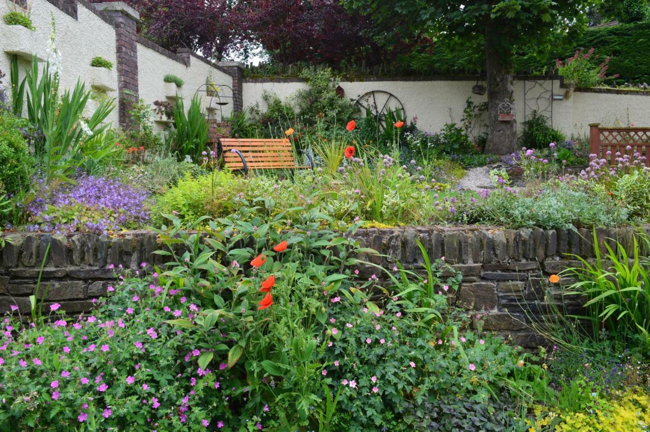 Tinnycross House B&B Ballymore Eustace Exteriör bild