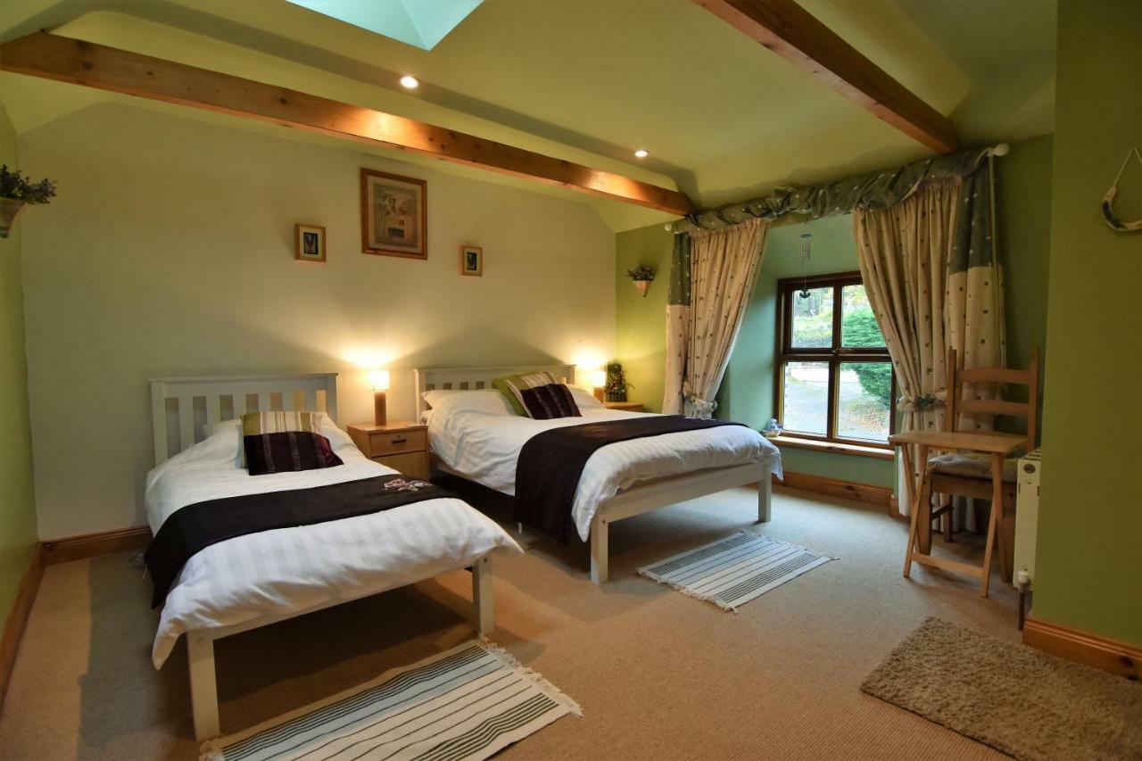 Tinnycross House B&B Ballymore Eustace Exteriör bild