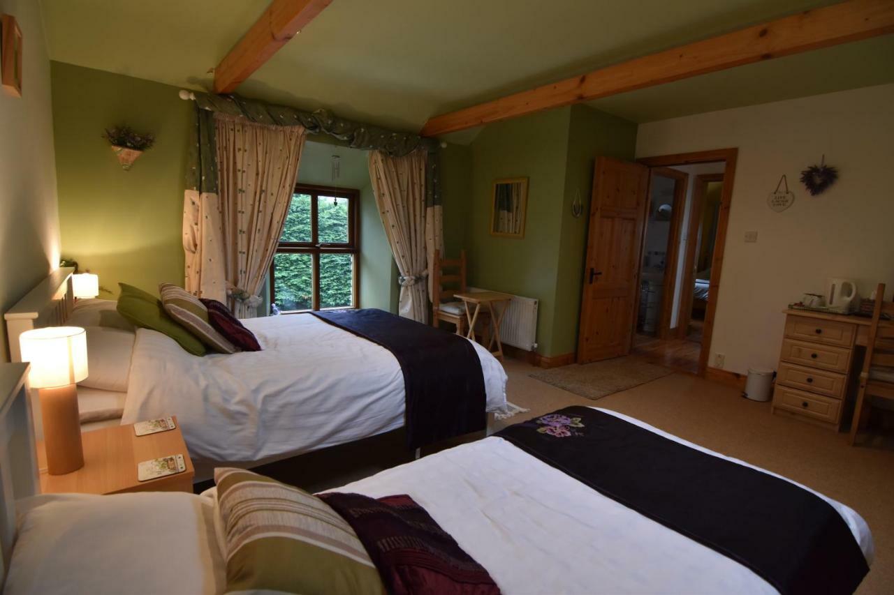 Tinnycross House B&B Ballymore Eustace Exteriör bild